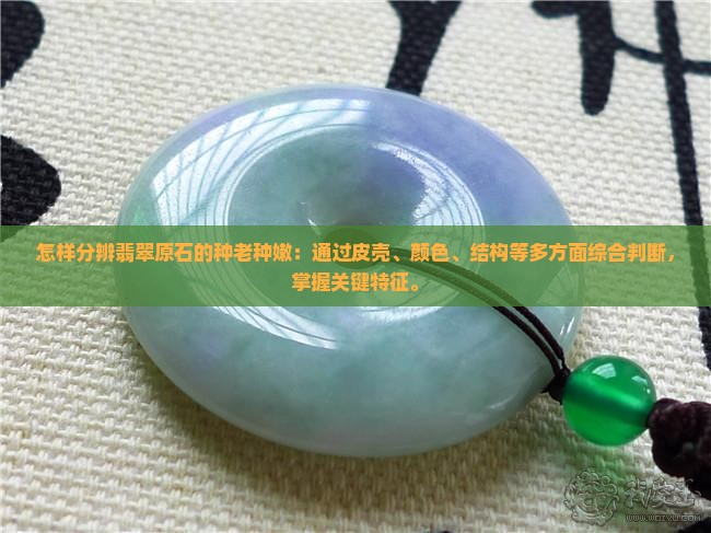 怎样分辨翡翠原石的种老种嫩