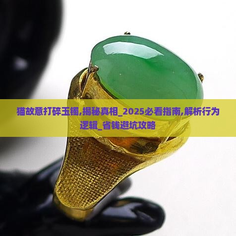 猫故意打碎玉镯