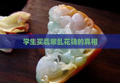 学生买翡翠乱花钱
