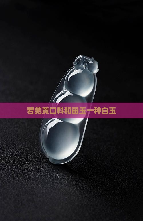 若羌黄口料和羊脂白玉