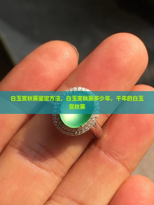 白玉变秋葵鉴定方法