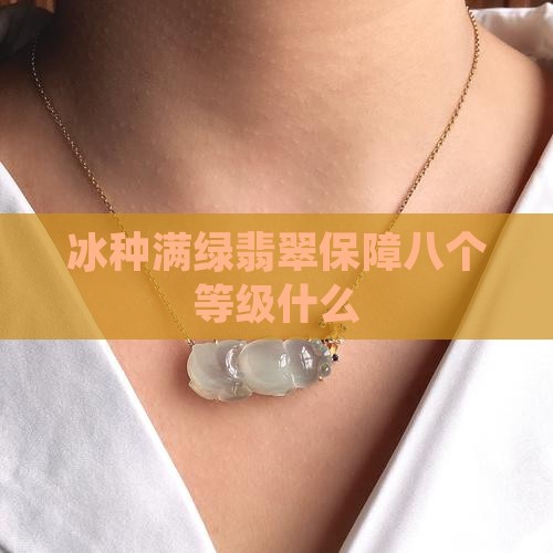 满绿高冰种翡翠