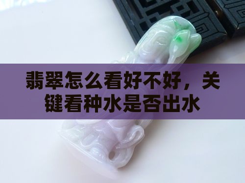 如何看翡翠有没有出水