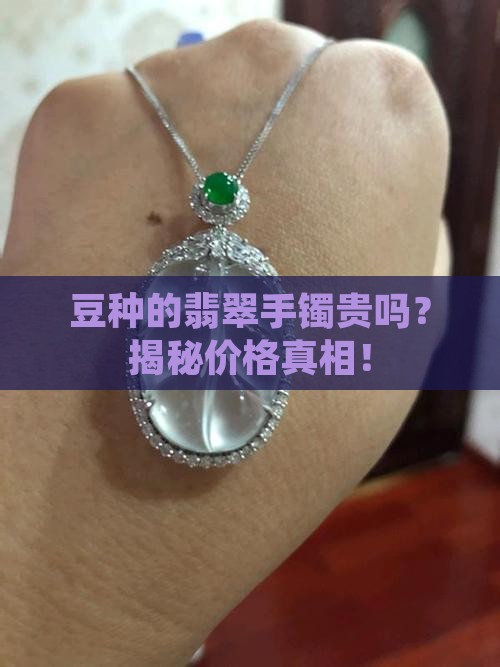 豆种的翡翠手镯贵吗