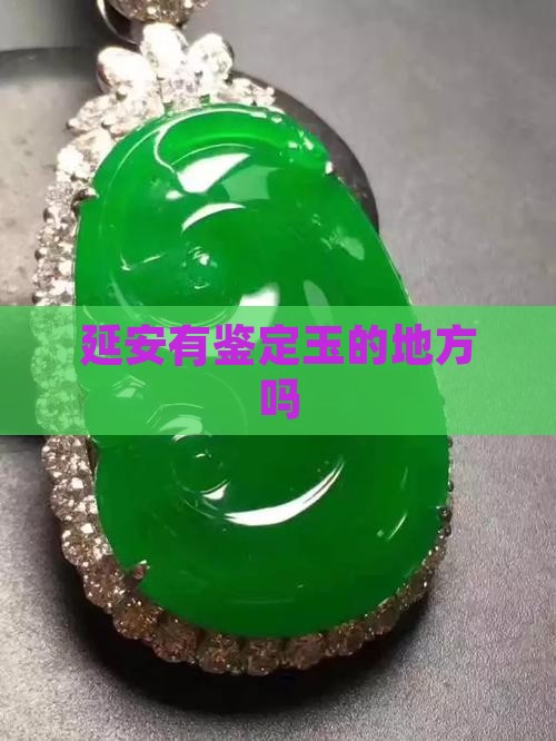 延安有鉴定玉的地方吗