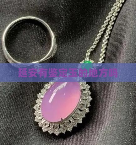 延安有鉴定玉的地方吗