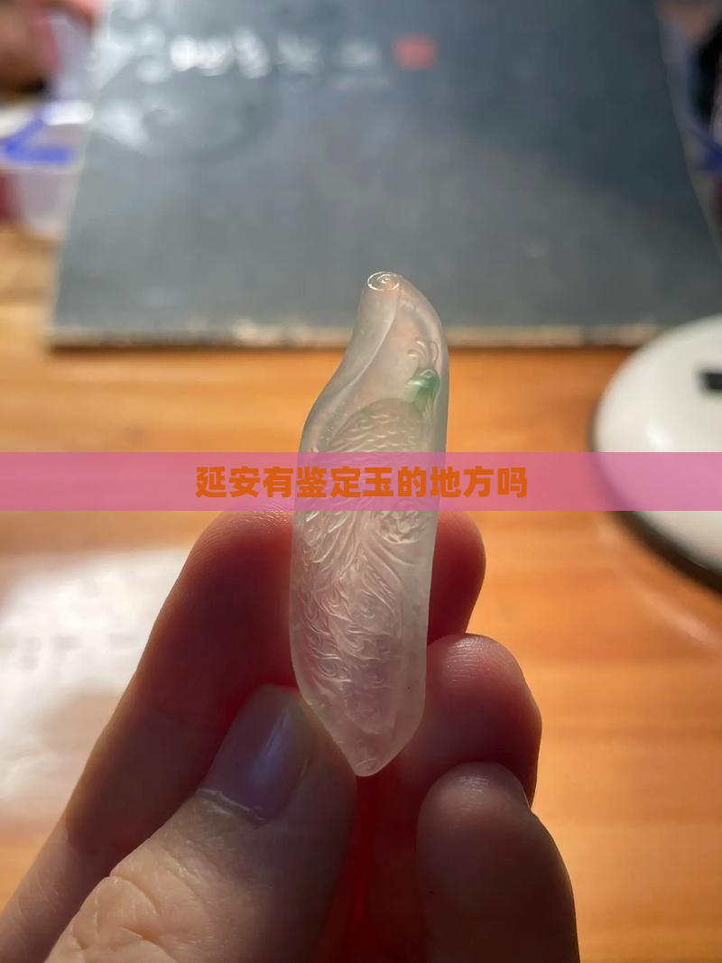 延安有鉴定玉的地方吗