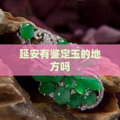 延安有鉴定玉的地方吗