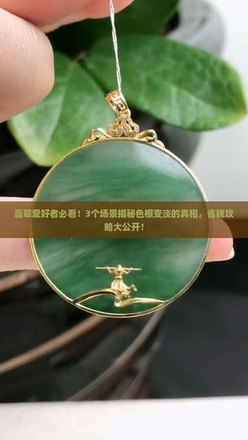翡翠色根变淡