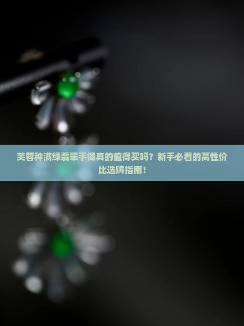 芙蓉种满绿翡翠手镯介绍