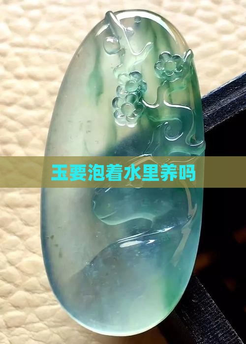 玉要泡着水里养吗