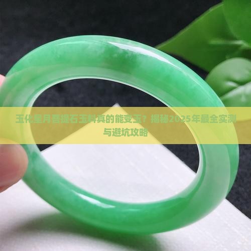 玉化星月菩提石玉料