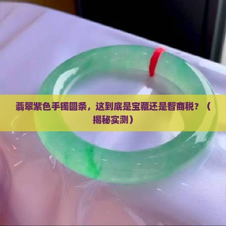 翡翠紫色手镯圆条 翡翠紫色手镯圆条