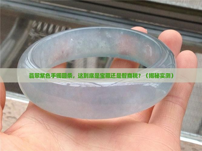 翡翠紫色手镯圆条 翡翠紫色手镯圆条