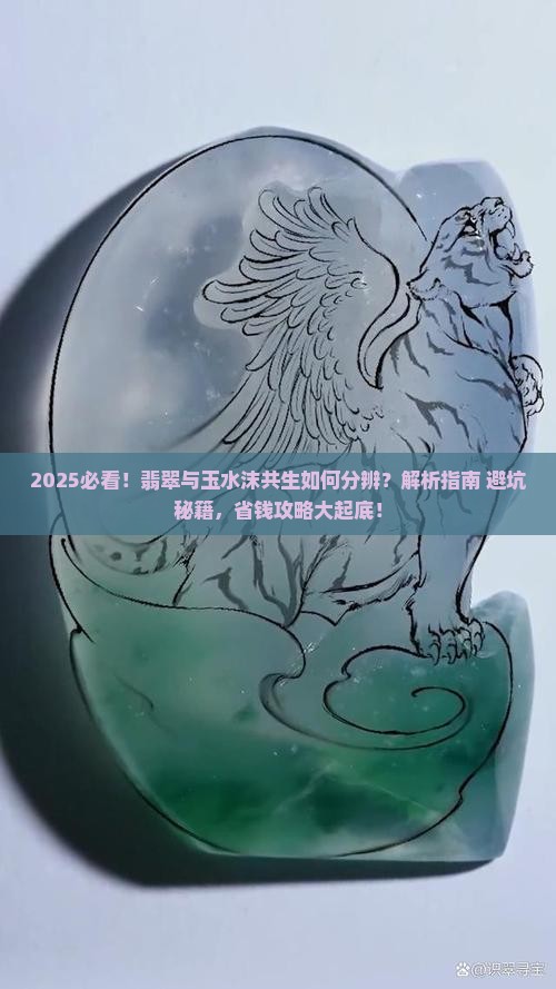 如何分辨水沫共生中的翡翠和玉