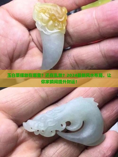 玉白菜摆放在哪里