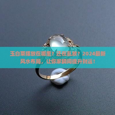 玉白菜摆放在哪里
