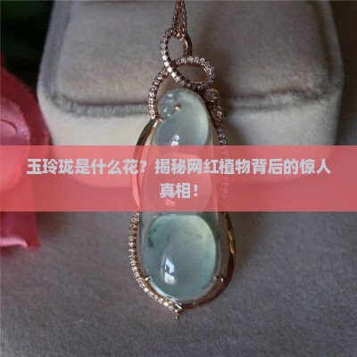玉玲珑是什么花