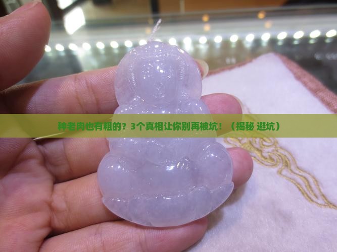 翡翠种老肉也有粗的吗
