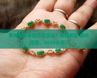 青海玉是不是还没玉化