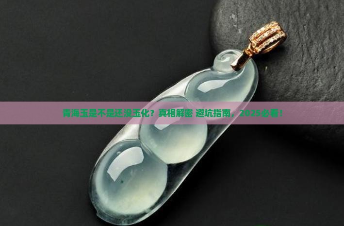 青海玉是不是还没玉化