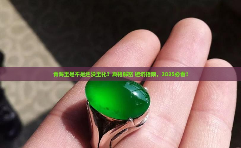 青海玉是不是还没玉化