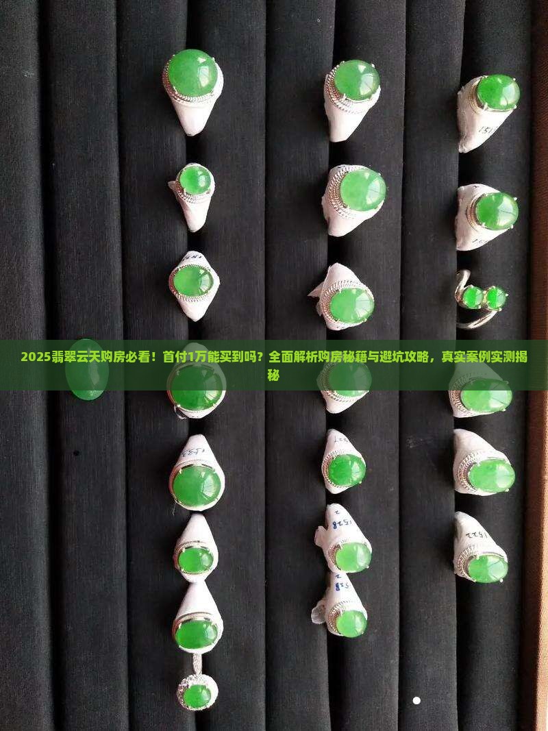 首付1万能买到翡翠云天吗