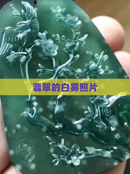 翡翠的白雾照片