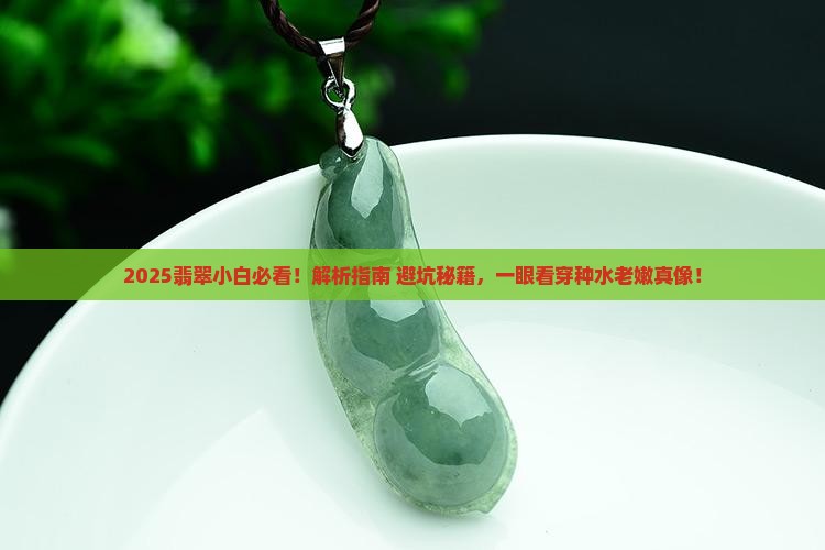 如何区分翡翠种水老嫩