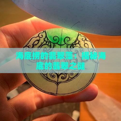 海底捞的翡翠藻是什么