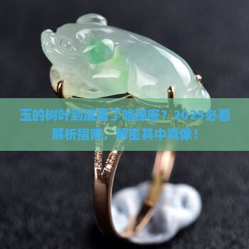 玉的树叶代表什么