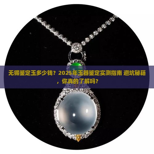 无锡鉴定玉多少钱