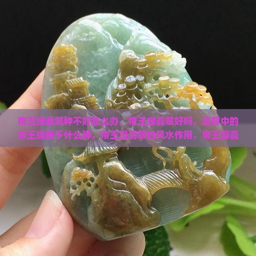 帝王绿翡翠种不好怎么办