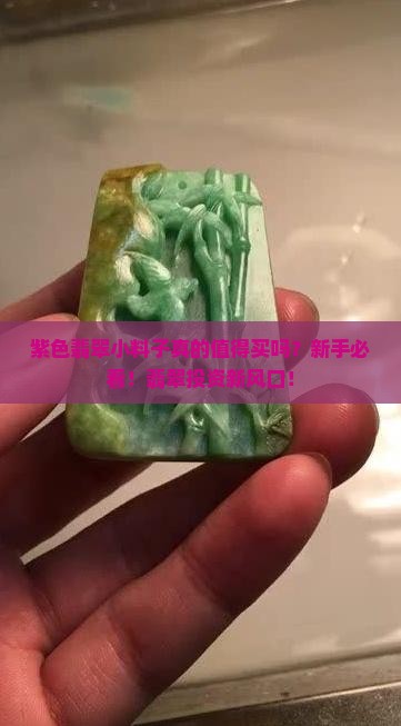 紫色翡翠小料子