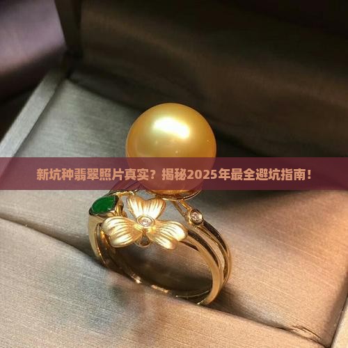 新坑种翡翠照片真实