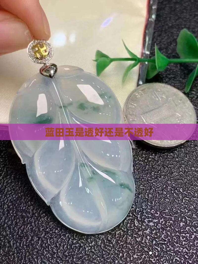 蓝田玉是透好还是不透好