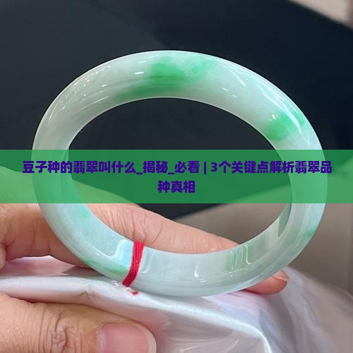 豆子种的翡翠叫什么