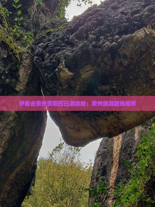 伊春去贵州贵阳四日游