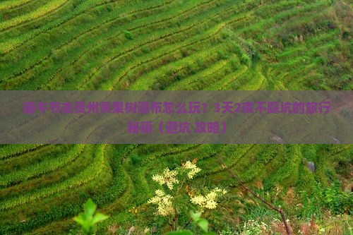 端午节去贵州黄果树瀑布旅行社