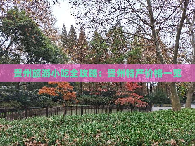 阿里去贵州旅游小吃