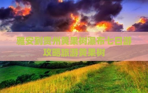 雅安到贵州黄果树瀑布七日游