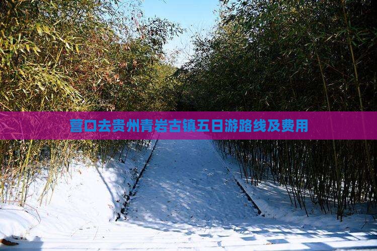 营口去贵州青岩古镇五日游