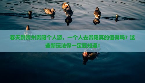 春天到贵州贵阳个人游