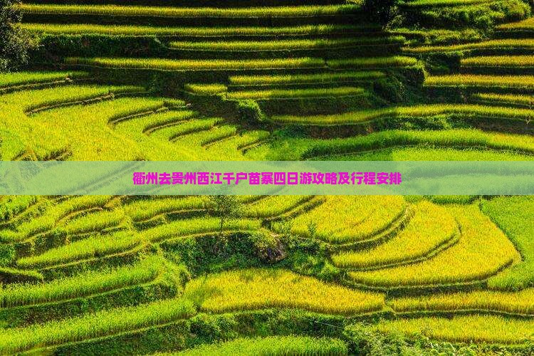 衢州去贵州西江千户苗寨四日游