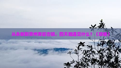 永新到贵州青岩古镇四日游