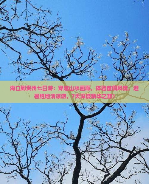 海口到贵州七日游