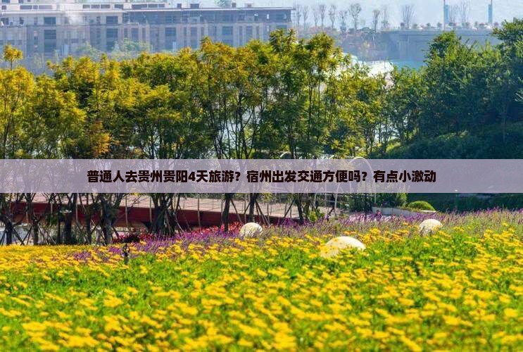 宿州去贵州贵阳四日游