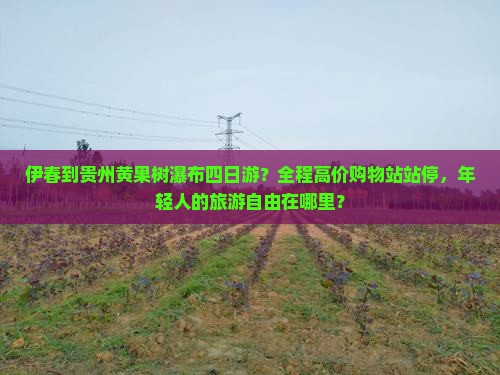 伊春到贵州黄果树瀑布四日游