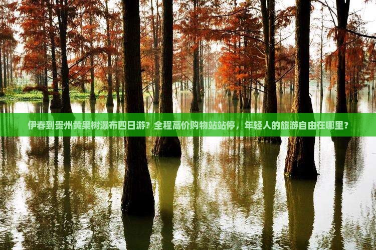 伊春到贵州黄果树瀑布四日游