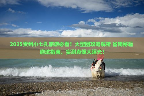 春天去贵州小七孔大型旅游团